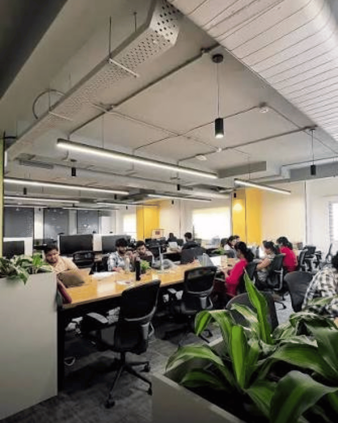 BiQSol office workspace